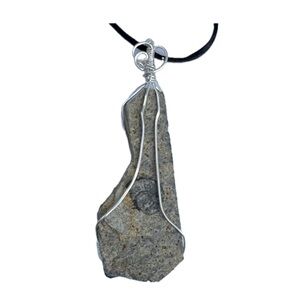 Ammonite Fossil Wire Wrapped Pendant Necklace